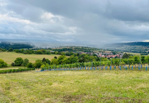 22-09-10 17-35-39 1959